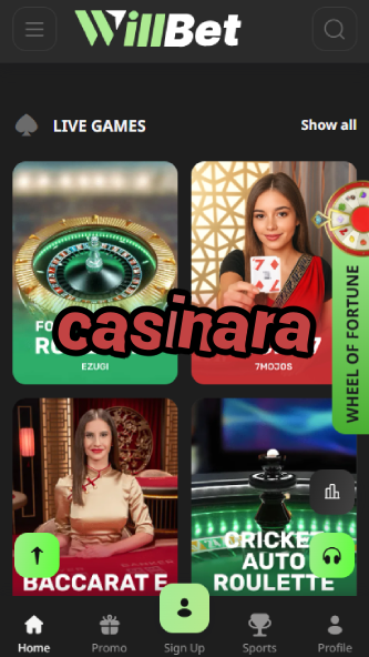 Casinara - Trusted Gambling Platform-www.bdqngd.com
